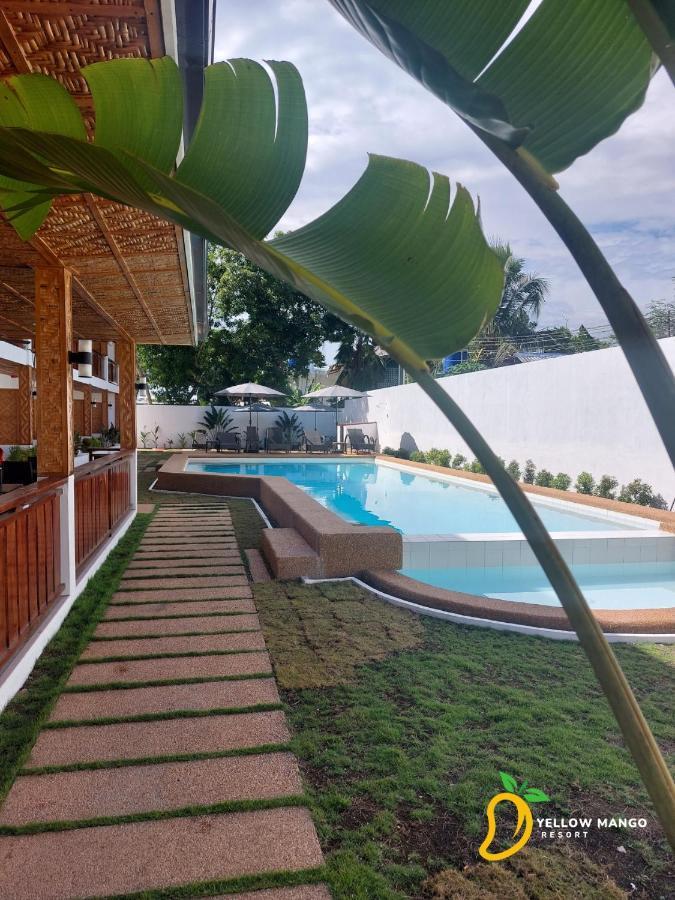 Yellow Mango Resort Bohol Panglao Bagian luar foto